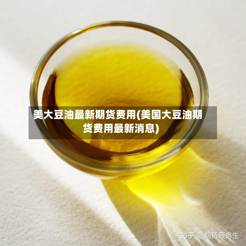 美大豆油最新期货费用(美国大豆油期货费用最新消息)