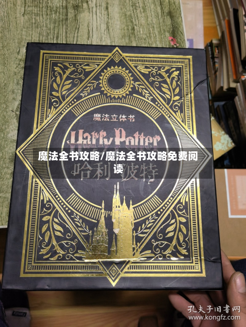 魔法全书攻略/魔法全书攻略免费阅读