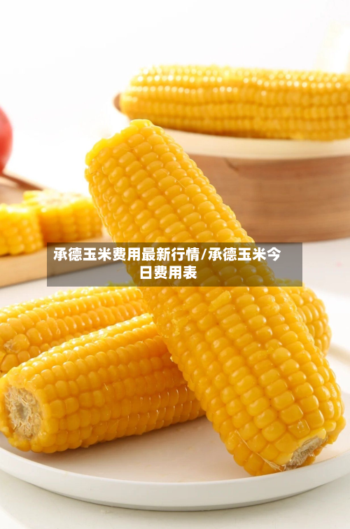 承德玉米费用最新行情/承德玉米今日费用表