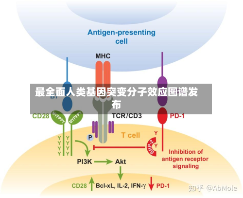 最全面人类基因突变分子效应图谱发布-第2张图片