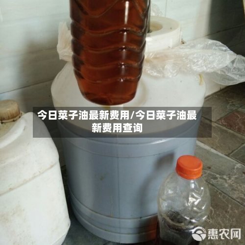 今日菜子油最新费用/今日菜子油最新费用查询