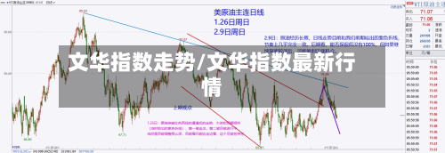 文华指数走势/文华指数最新行情