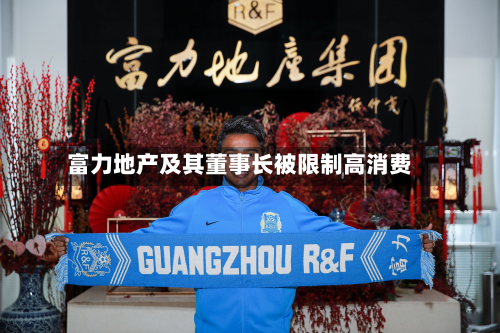 富力地产及其董事长被限制高消费