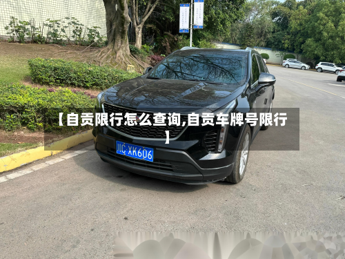 【自贡限行怎么查询,自贡车牌号限行】-第2张图片