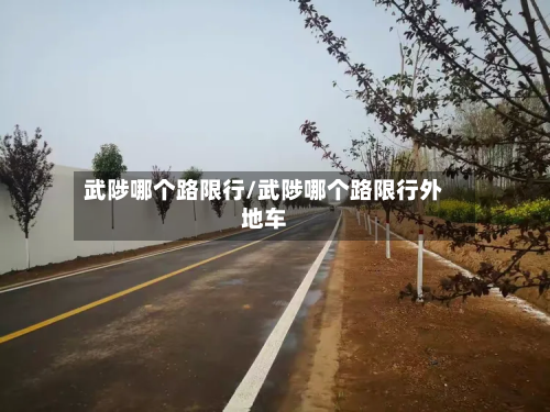武陟哪个路限行/武陟哪个路限行外地车