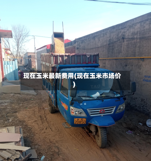 现在玉米最新费用(现在玉米市场价)-第2张图片