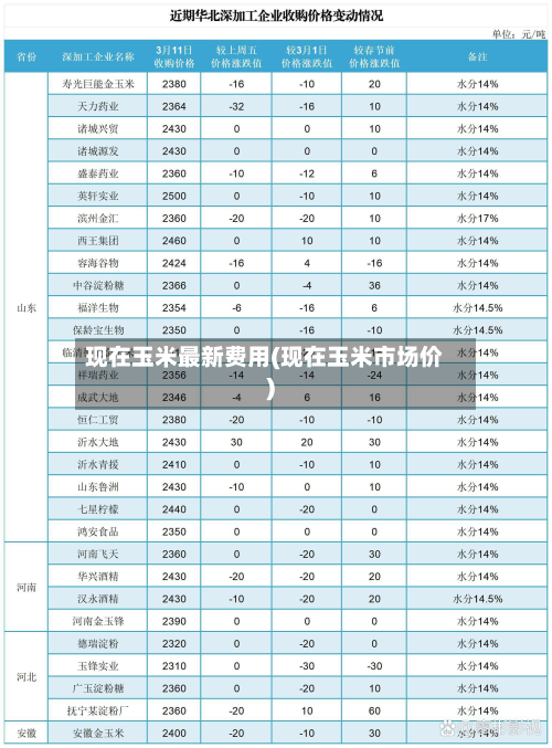 现在玉米最新费用(现在玉米市场价)