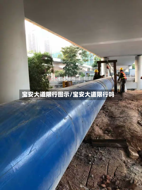 宝安大道限行图示/宝安大道限行吗-第2张图片