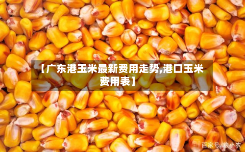 【广东港玉米最新费用走势,港口玉米费用表】-第3张图片