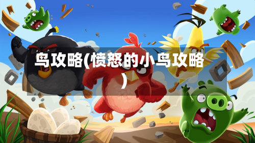 鸟攻略(愤怒的小鸟攻略)