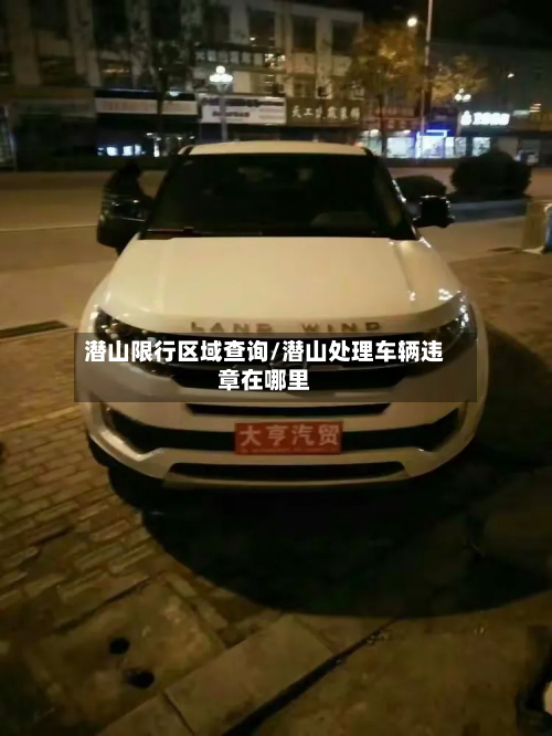 潜山限行区域查询/潜山处理车辆违章在哪里