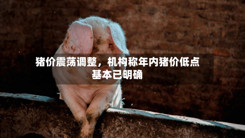 猪价震荡调整，机构称年内猪价低点基本已明确-第3张图片