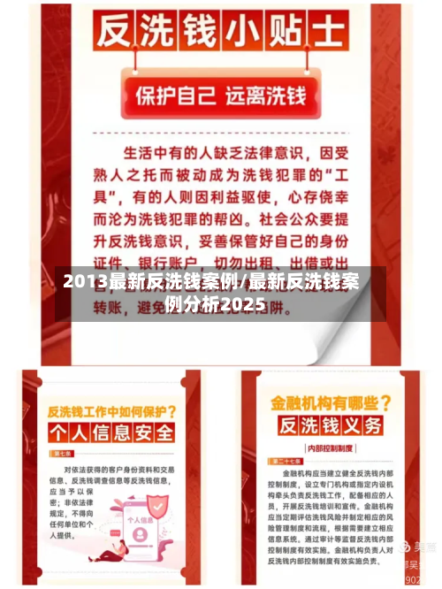 2013最新反洗钱案例/最新反洗钱案例分析2025-第2张图片