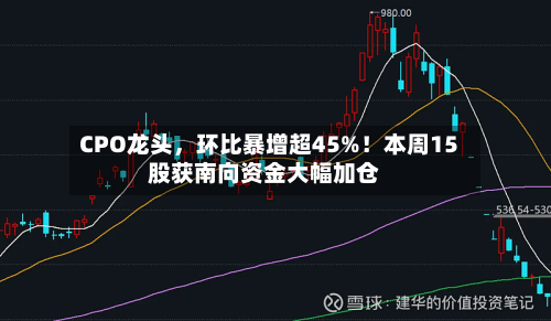 CPO龙头，环比暴增超45%！本周15股获南向资金大幅加仓-第2张图片