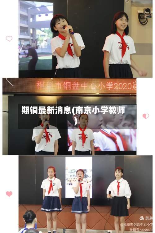 期铜最新消息(南京小学教师)