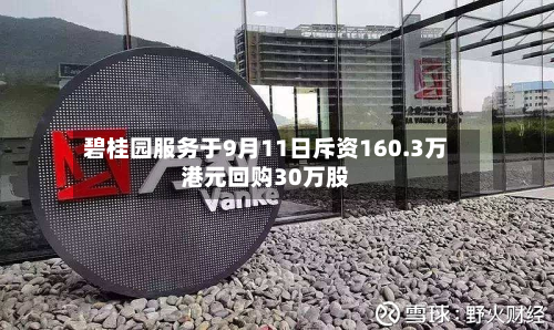 碧桂园服务于9月11日斥资160.3万港元回购30万股-第2张图片