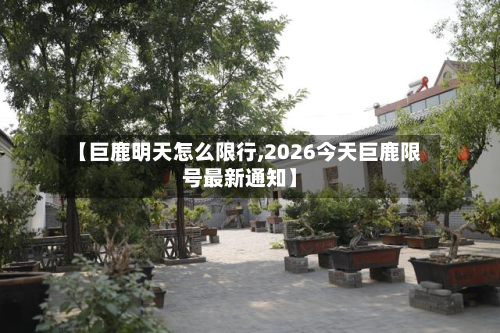 【巨鹿明天怎么限行,2026今天巨鹿限号最新通知】