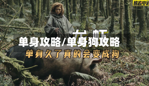 单身攻略/单身狗攻略-第2张图片