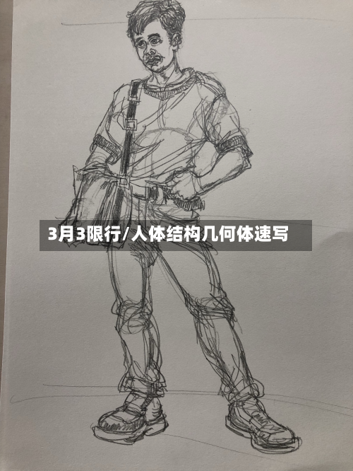 3月3限行/人体结构几何体速写