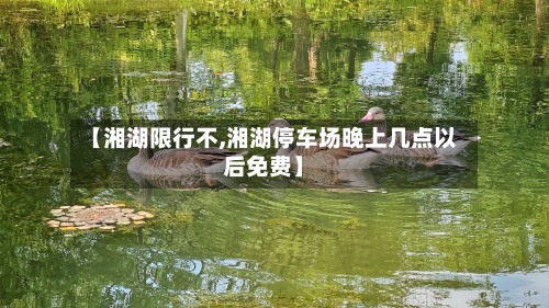 【湘湖限行不,湘湖停车场晚上几点以后免费】