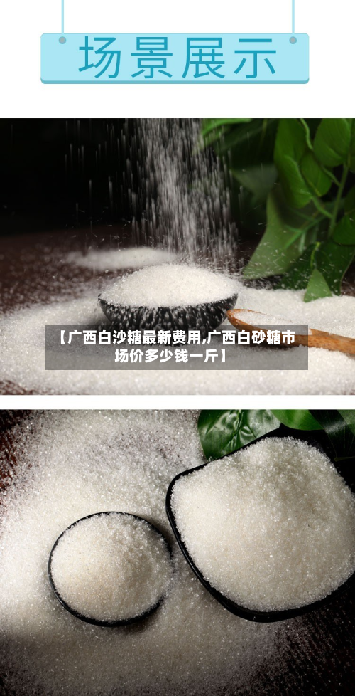 【广西白沙糖最新费用,广西白砂糖市场价多少钱一斤】-第2张图片