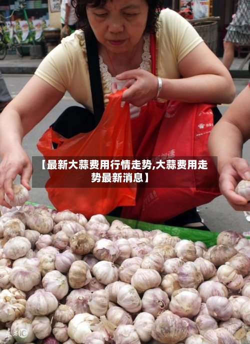 【最新大蒜费用行情走势,大蒜费用走势最新消息】