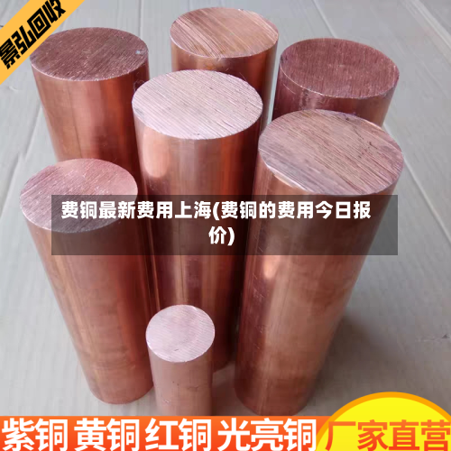 费铜最新费用上海(费铜的费用今日报价)
