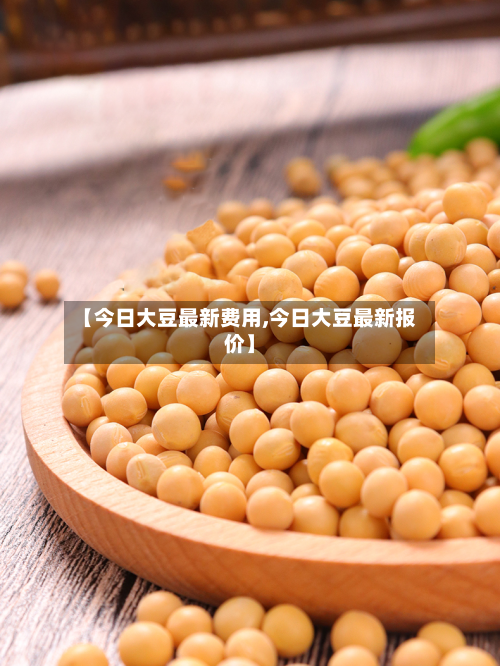 【今日大豆最新费用,今日大豆最新报价】-第2张图片