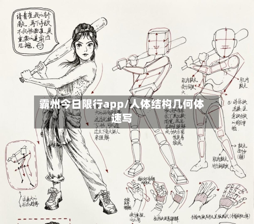 霸州今日限行app/人体结构几何体速写-第2张图片