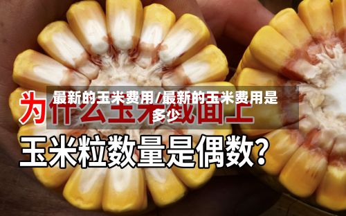 最新的玉米费用/最新的玉米费用是多少