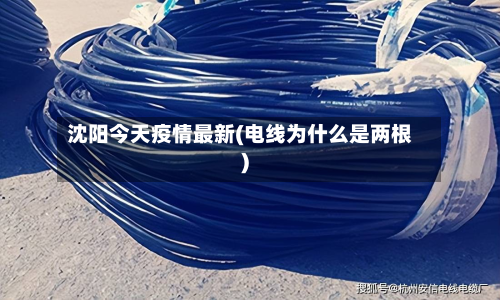 沈阳今天疫情最新(电线为什么是两根)-第2张图片