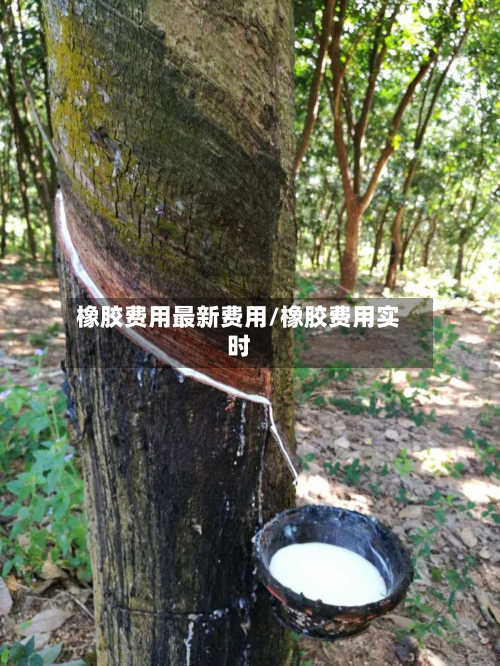 橡胶费用最新费用/橡胶费用实时