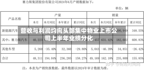 营收与利润均向头部集中物业上市公司上半年业绩分化-第2张图片