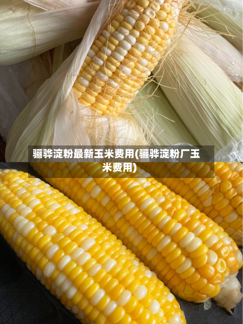 骊骅淀粉最新玉米费用(骊骅淀粉厂玉米费用)