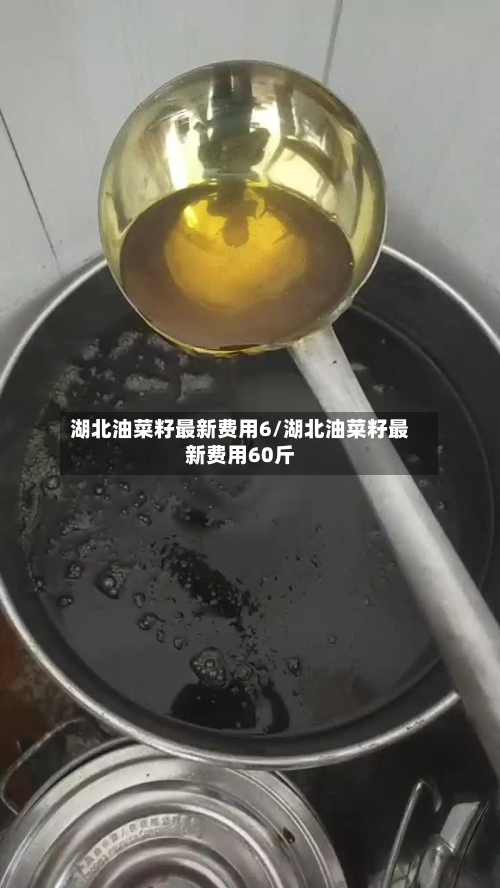 湖北油菜籽最新费用6/湖北油菜籽最新费用60斤-第3张图片