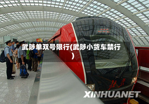 武陟单双号限行(武陟小货车禁行)