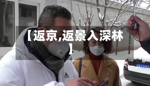 【返京,返景入深林】