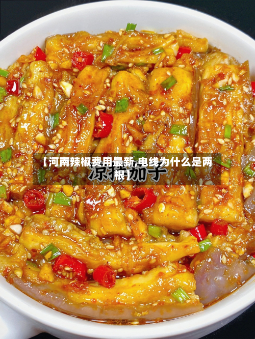 【河南辣椒费用最新,电线为什么是两根】-第3张图片