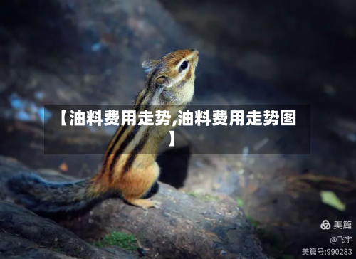 【油料费用走势,油料费用走势图】