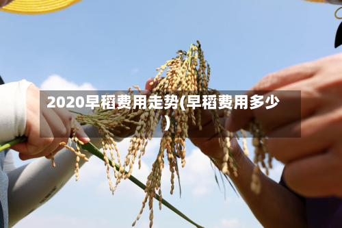 2020早稻费用走势(早稻费用多少)