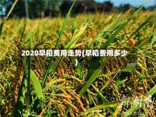 2020早稻费用走势(早稻费用多少)-第2张图片