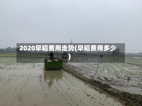 2020早稻费用走势(早稻费用多少)-第3张图片