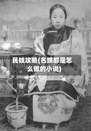民妓攻略(名妓都是怎么做的小说)-第2张图片