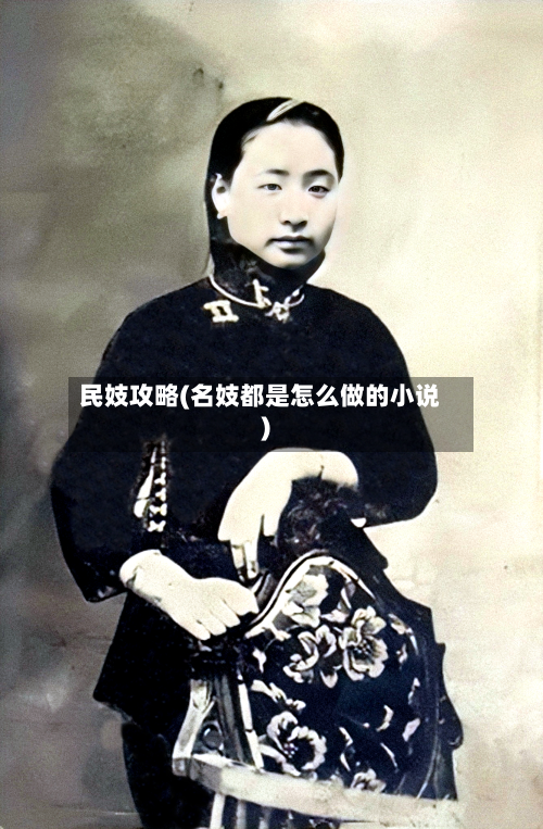民妓攻略(名妓都是怎么做的小说)-第3张图片