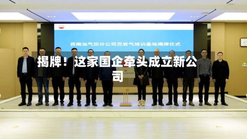 揭牌！这家国企牵头成立新公司-第3张图片