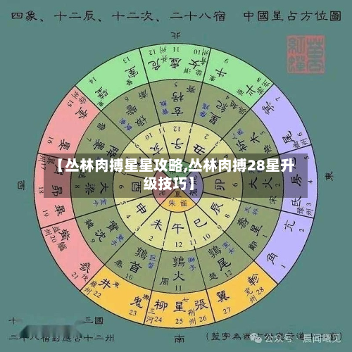 【丛林肉搏星星攻略,丛林肉搏28星升级技巧】