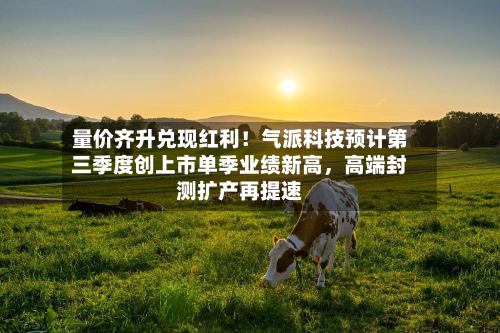 量价齐升兑现红利！气派科技预计第三季度创上市单季业绩新高，高端封测扩产再提速-第3张图片