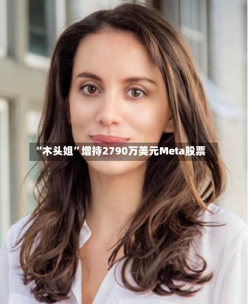“木头姐”增持2790万美元Meta股票-第2张图片