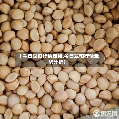 【今日豆柏行情走势,今日豆柏行情走势分析】-第2张图片